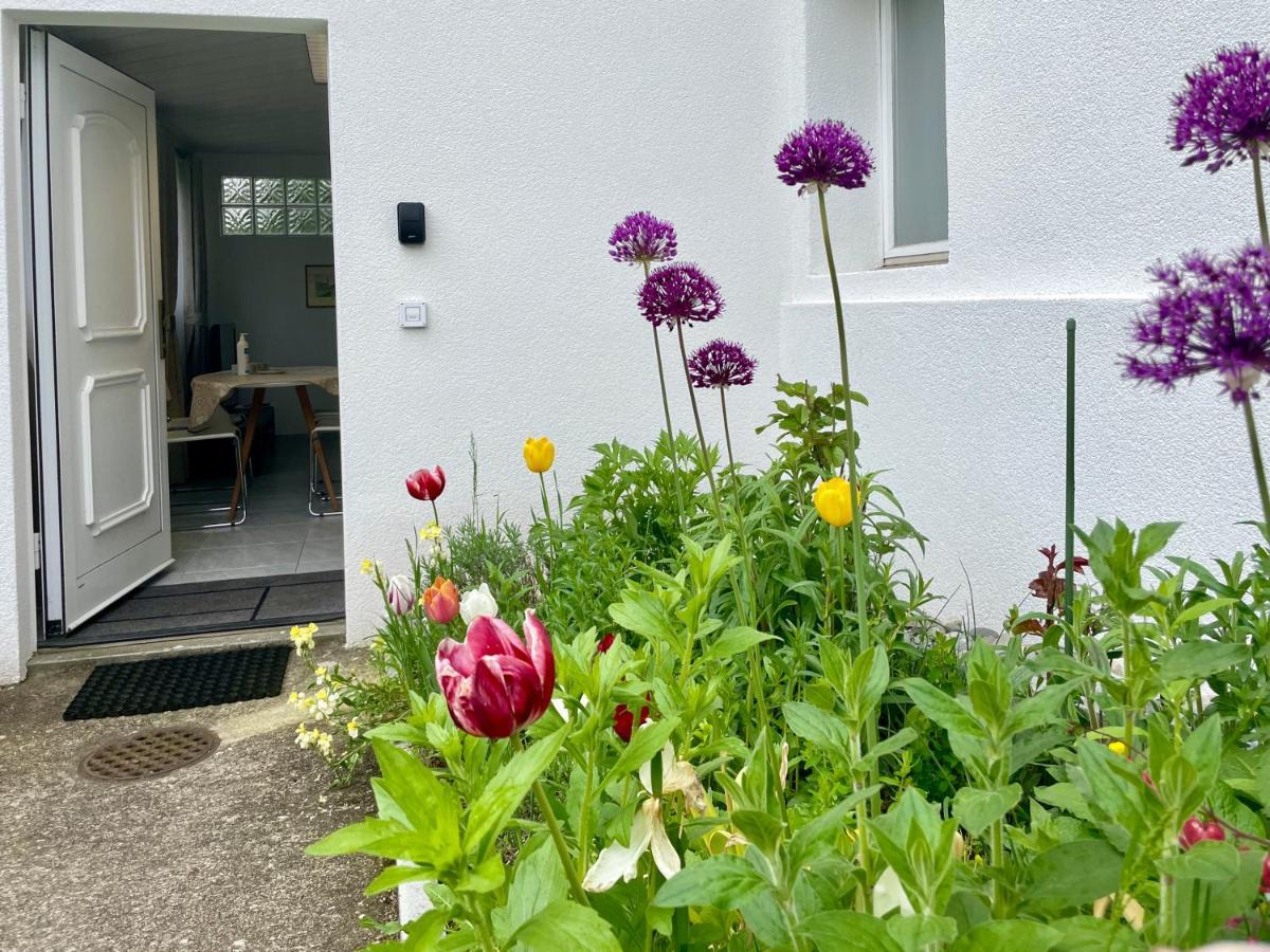 Studio In Stadtnaehe Zuerich Mit Guter Verkehrsanbindung Adliswil Zewnętrze zdjęcie