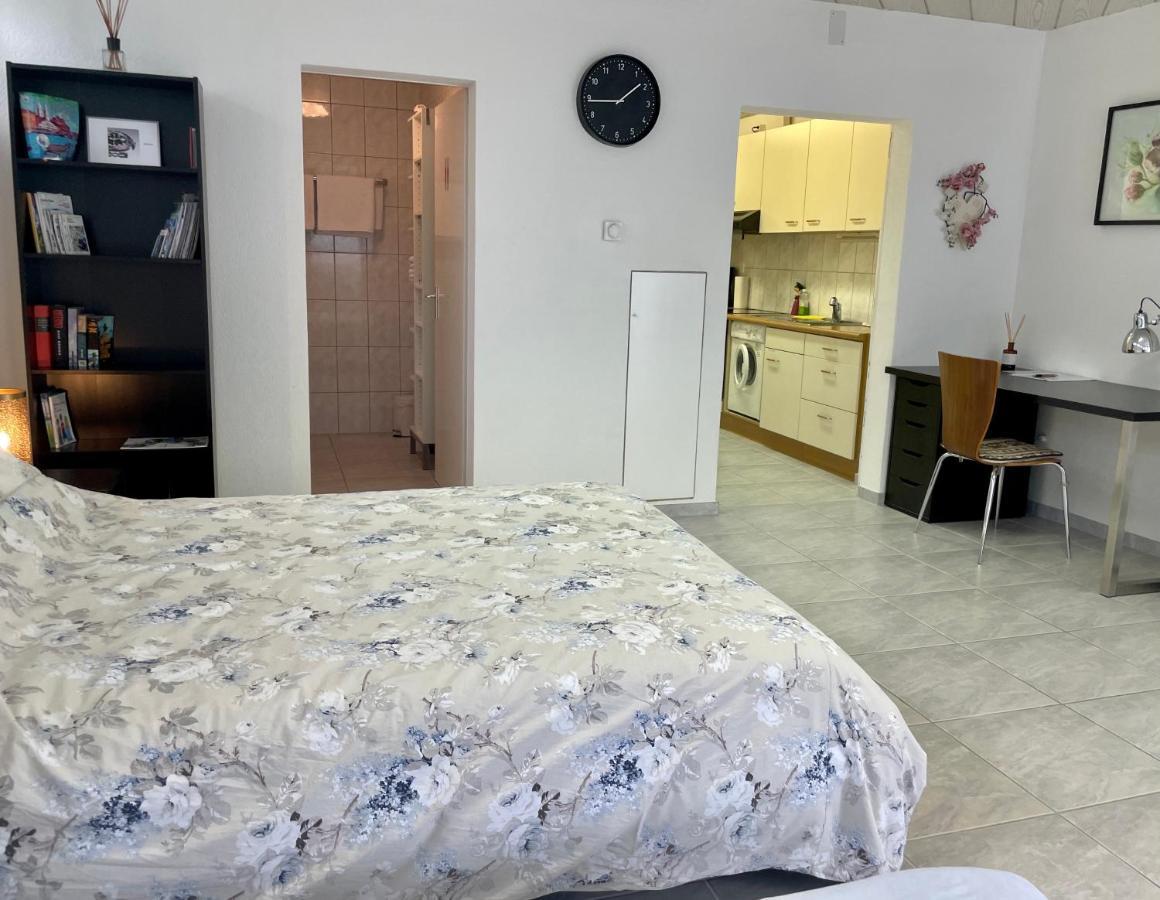 Studio In Stadtnaehe Zuerich Mit Guter Verkehrsanbindung Adliswil Zewnętrze zdjęcie